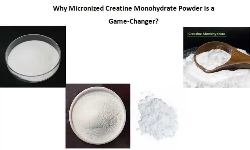 Why Micronized Creatine Monohydrate Powder is a Game-Changer?